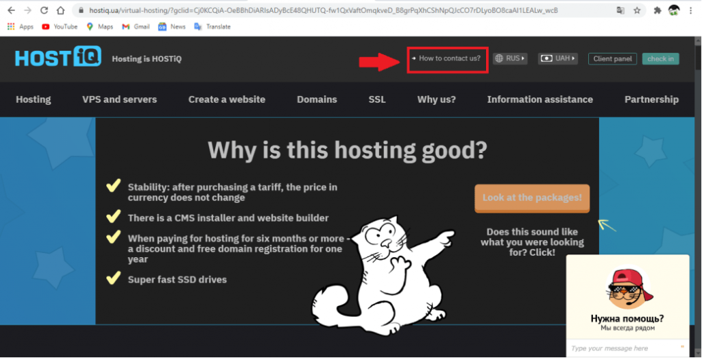 Hostiq Login Access Your Webmail CPanel Account Now 