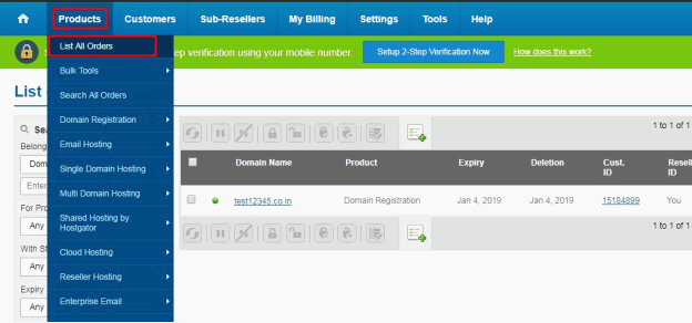 ResellerClub Nameservers DNS
