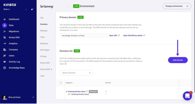 Kinsta Nameservers: Point Domain