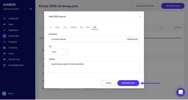 Kinsta Nameservers