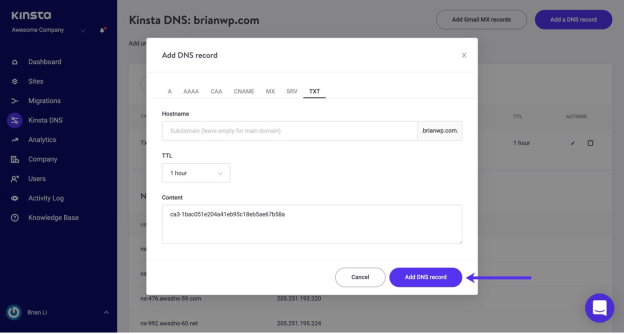 Kinsta Nameservers: Add DNS Record