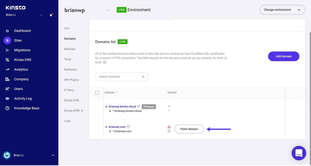 Kinsta Nameservers: point domain