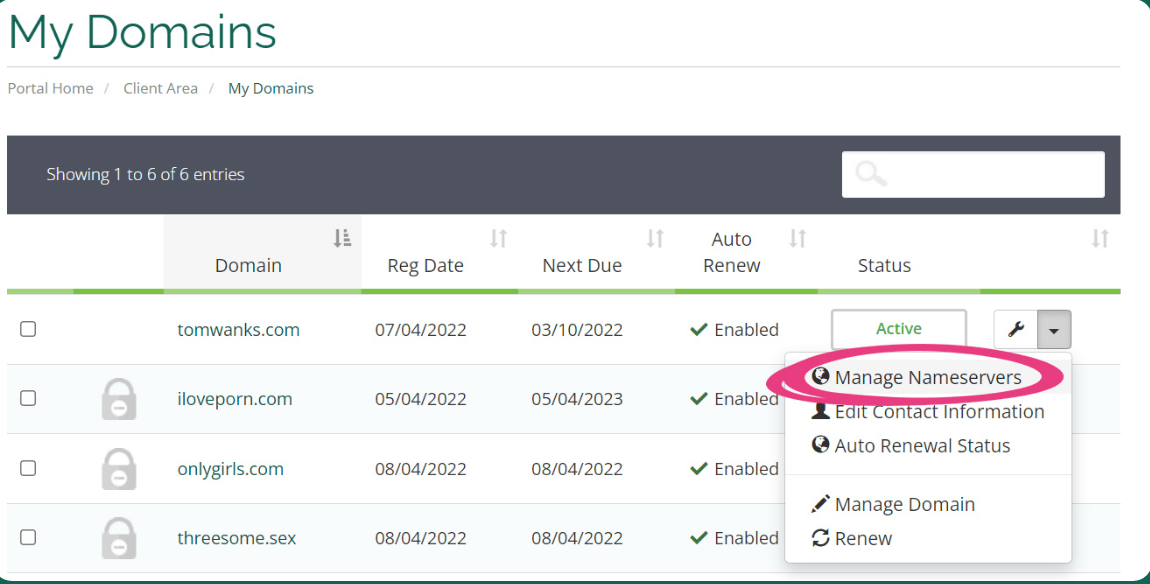 ViceTemple NameServers - How to Point a Domain to ViceTemple?