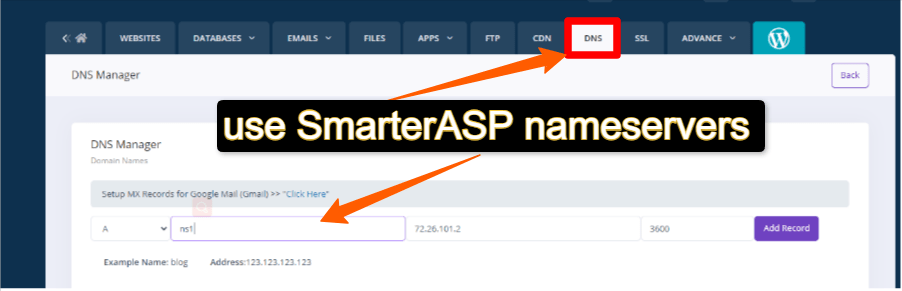 Use SmarterASP NameServers