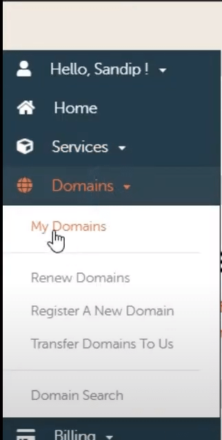 DomainRacer NameServers domains