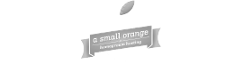 A Small Orange