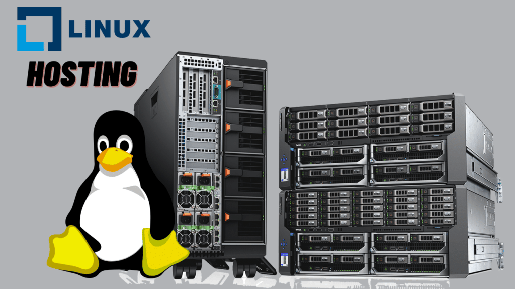Best Linux Hosting Provider