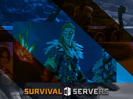 Survival Servers about