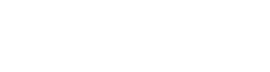 netway white logo