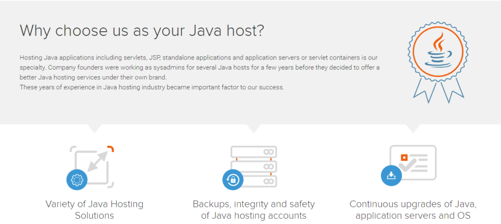 Why Choose JVMHost Hosting