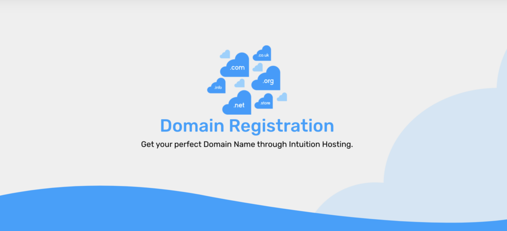 IntuitionHosting Review 4 IntuitionHosting Domain
