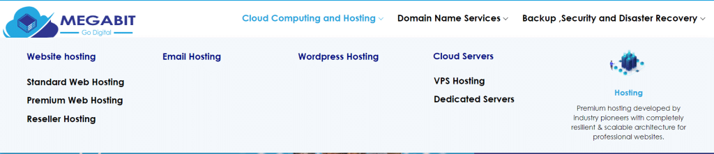 Types of Web Hosting MegaBit offers  