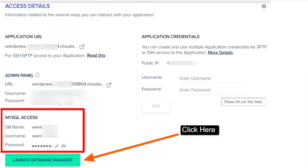 Launch Database Manager button