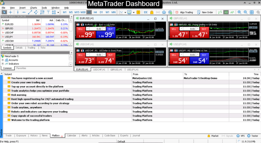 You can access MetaTrader5 Dashboard