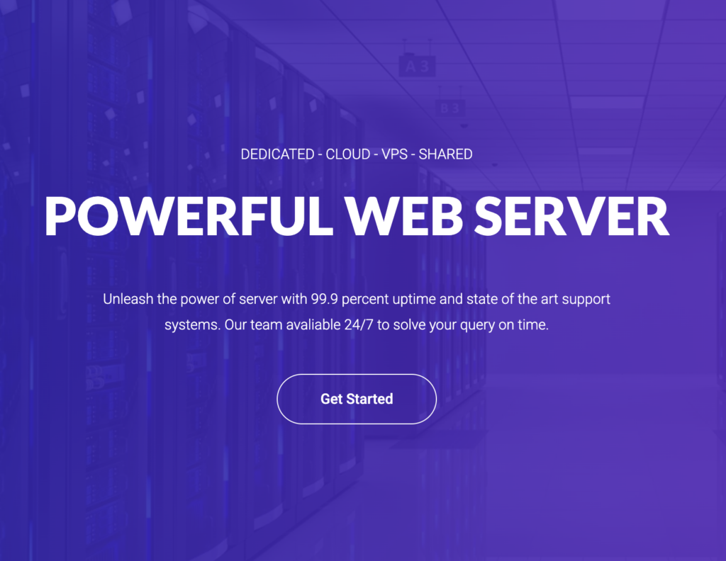 TheServerHost