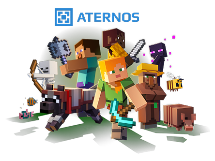 Aternos Overview