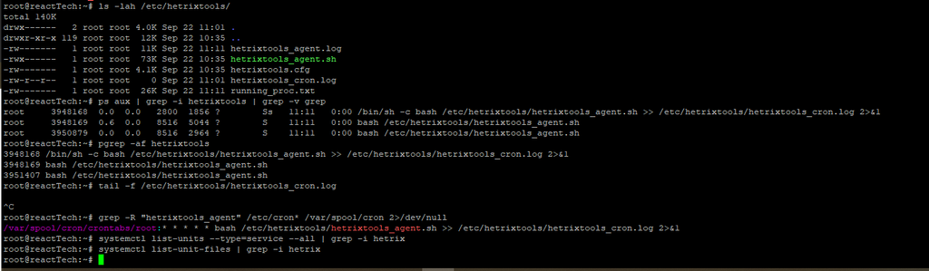 Testing HetrixTools Server Agent & Cron Heartbeat Setup