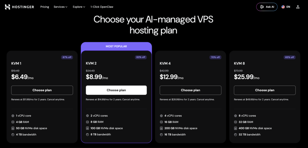 VPS Hostingera