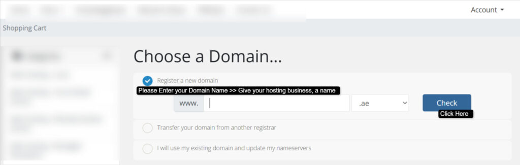 Choose Domain 