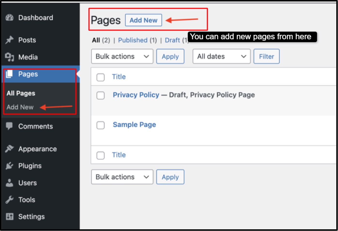 Create Your First Pages