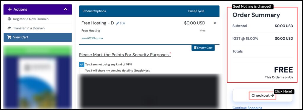 enter the name of your website that you’ve planned and click the continue button 