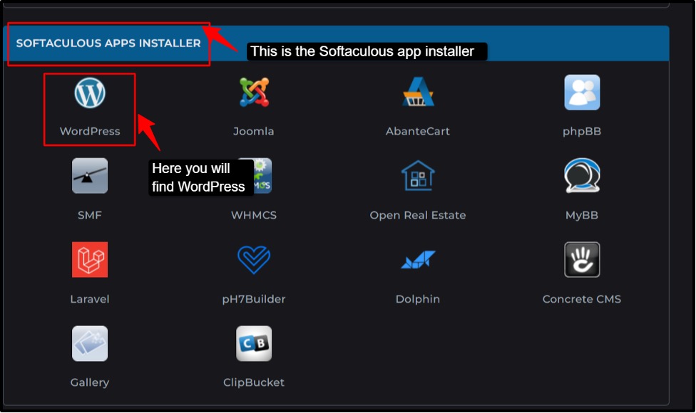 Click on Softaculous Apps Installer. From the list, select WordPress. 