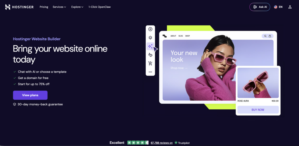 Hostinger Website Builder 