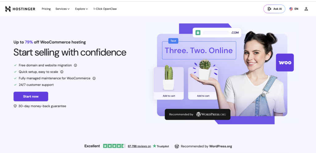 Hostinger WooCommerce Hosting Pricing