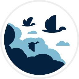 WP Migrate