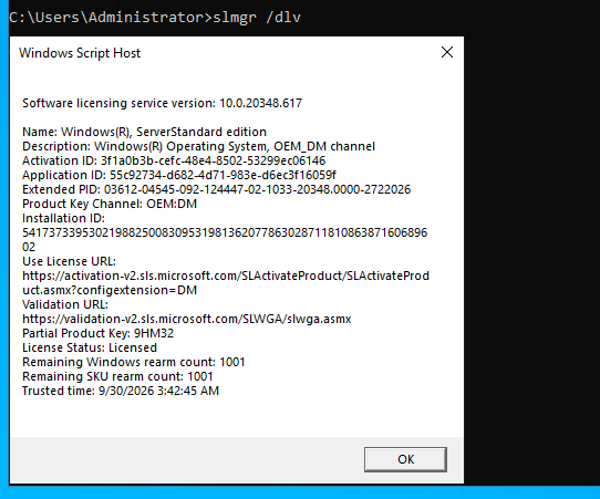 Windows Licensing & Activation Testing