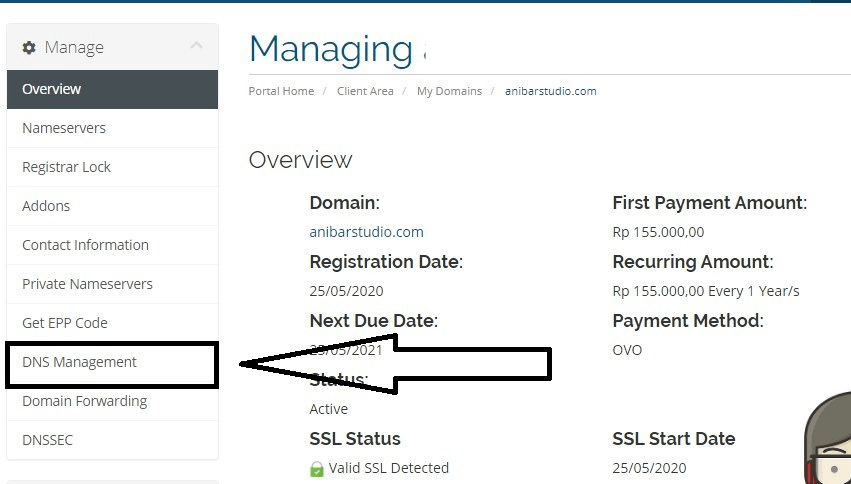 Rumahweb Nameservers