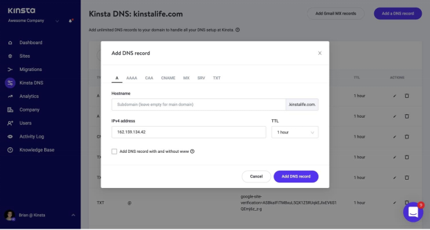 Kinsta Nameservers