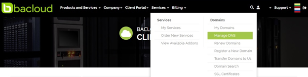 Bacloud Nameservers: management DNS