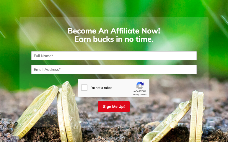 Became a Affiliate Program