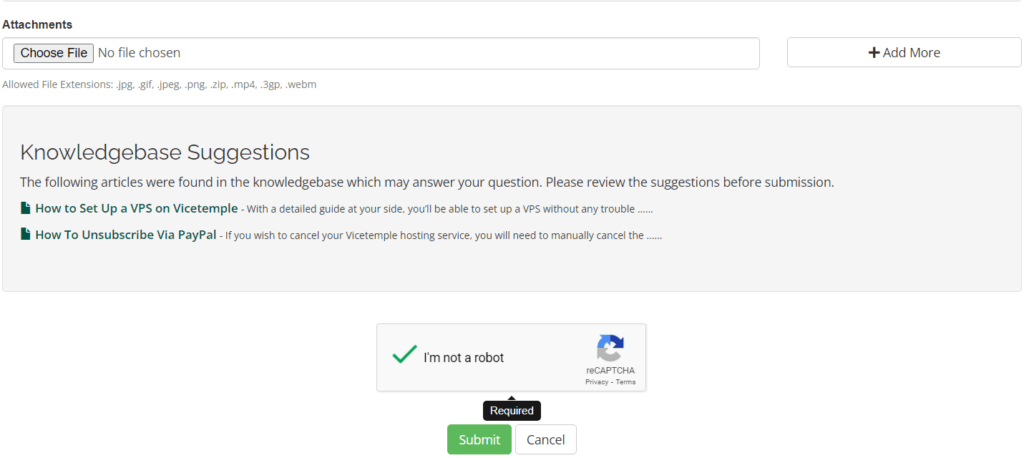 ViceTemple Support 10 VICEtemple ticket