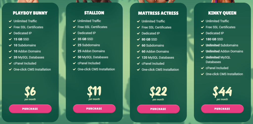 ViceTemple Web Hsoting plans