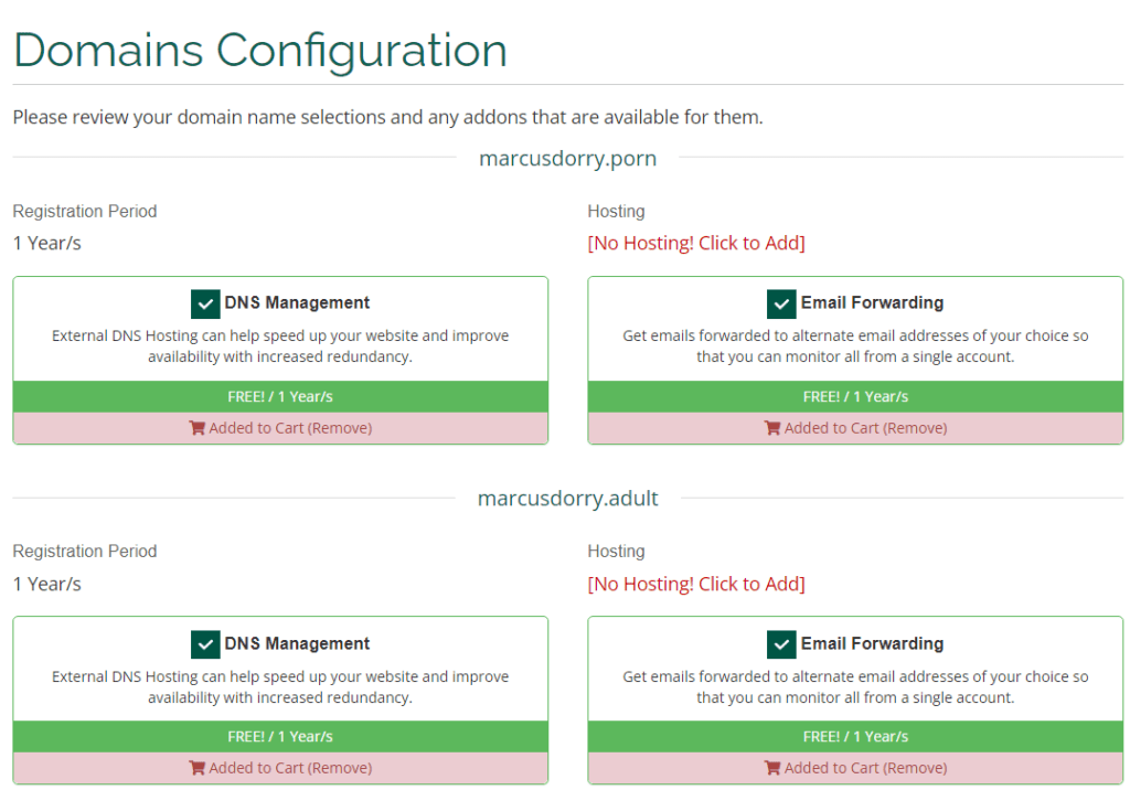 Vicetemple domain configuration