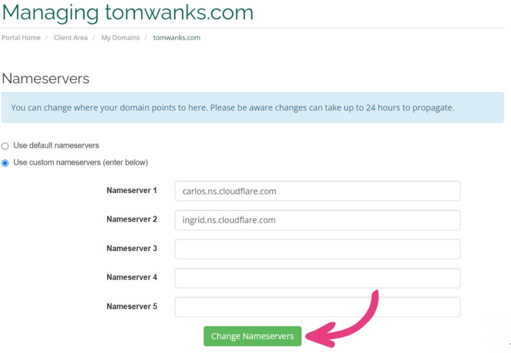 change nameserver option