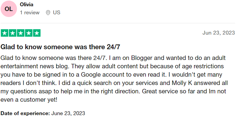 ViceTemple Support 17 customer feedback of vicetemple support