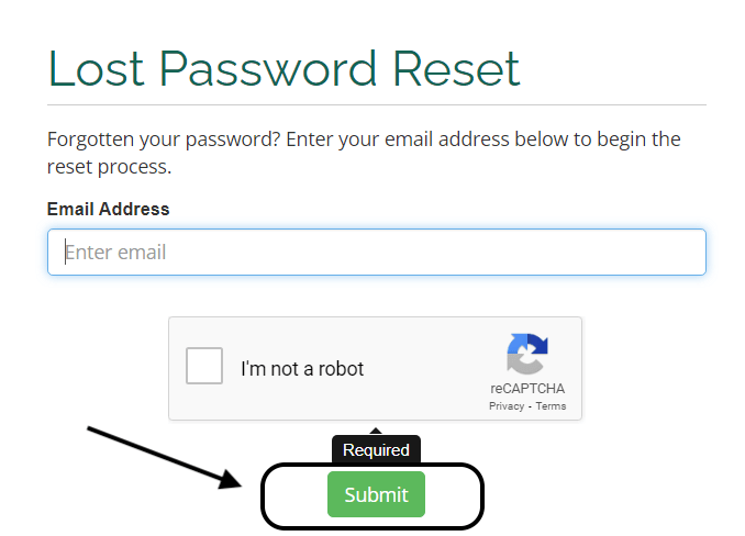 ViceTemple Login 10 lost password reset option