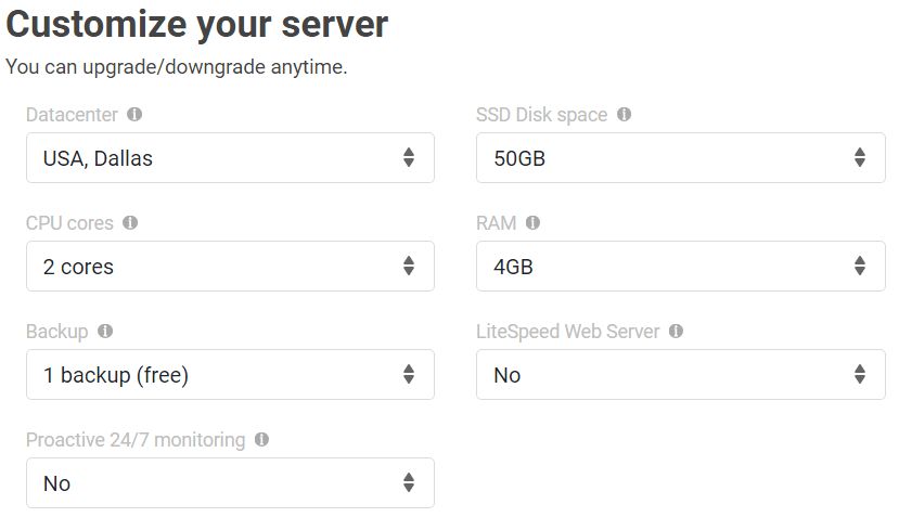 scalahosting customize your server
