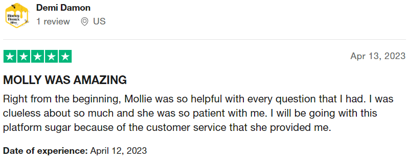 ViceTemple Support 18 vicetemple customers feedback