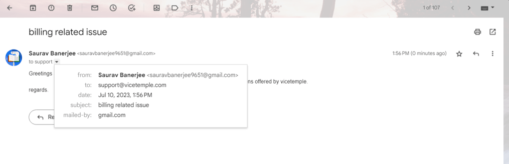 ViceTemple Support 13 vicetemple-email-support