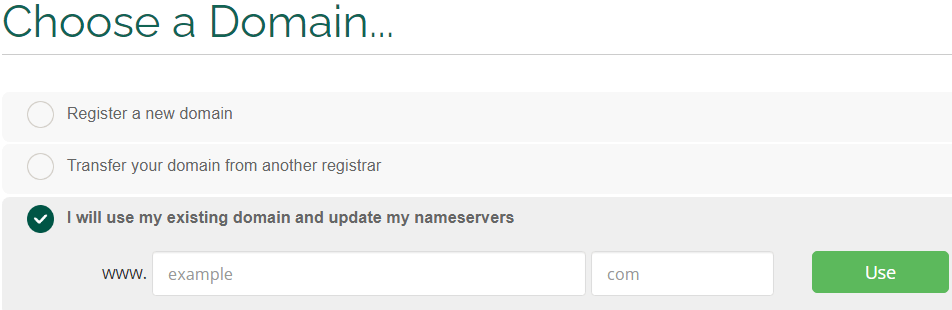 vicetemple existing domain