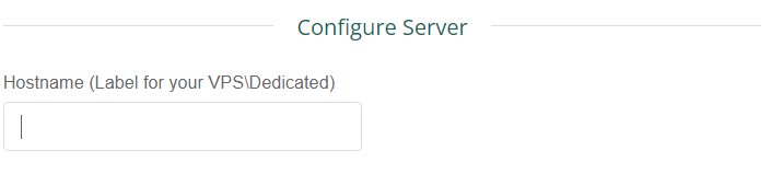 vicetemple type hostname