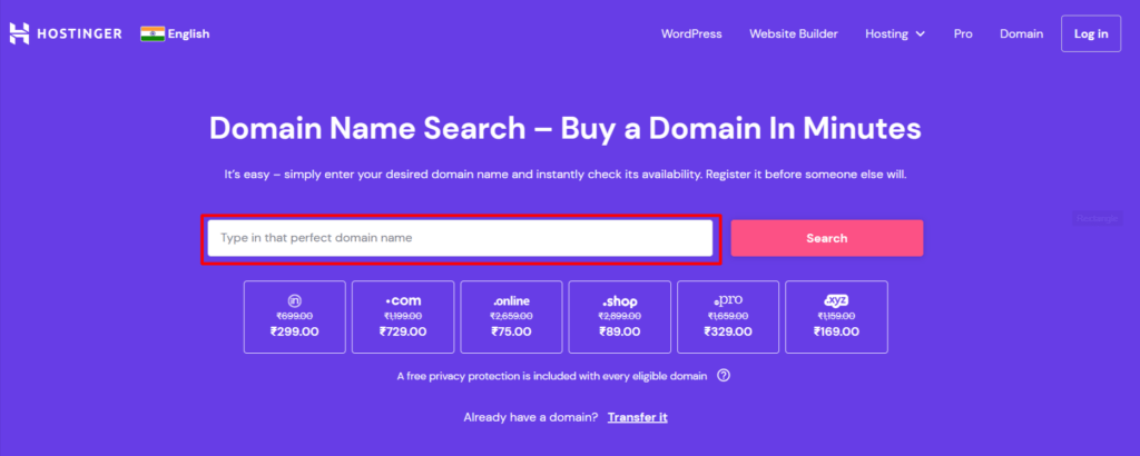 Order Hosting From Hostinger 10 Domain Name Search