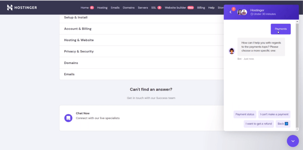 Hostinger Live Chat