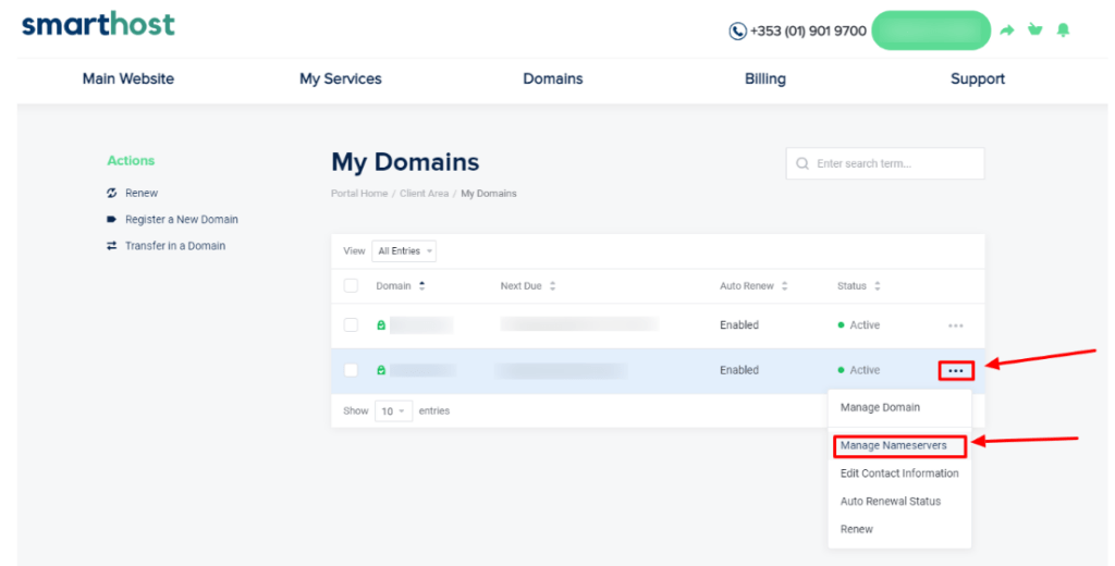 SmartHost Nameservers
