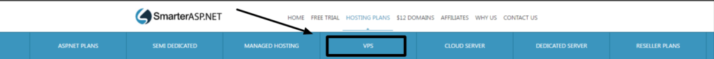 Order Hosting From SmarterASP 19 VPS button