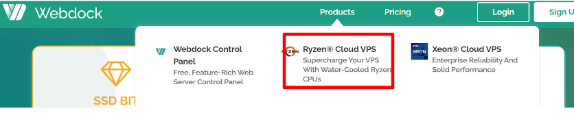 VPS Cloud Server [AMD Ryzen]
